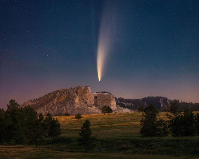 Invincible by Eden Bhatta